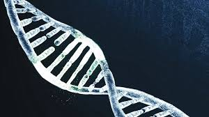 检测技术的发展趋势